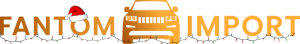 Fantom import logo new year