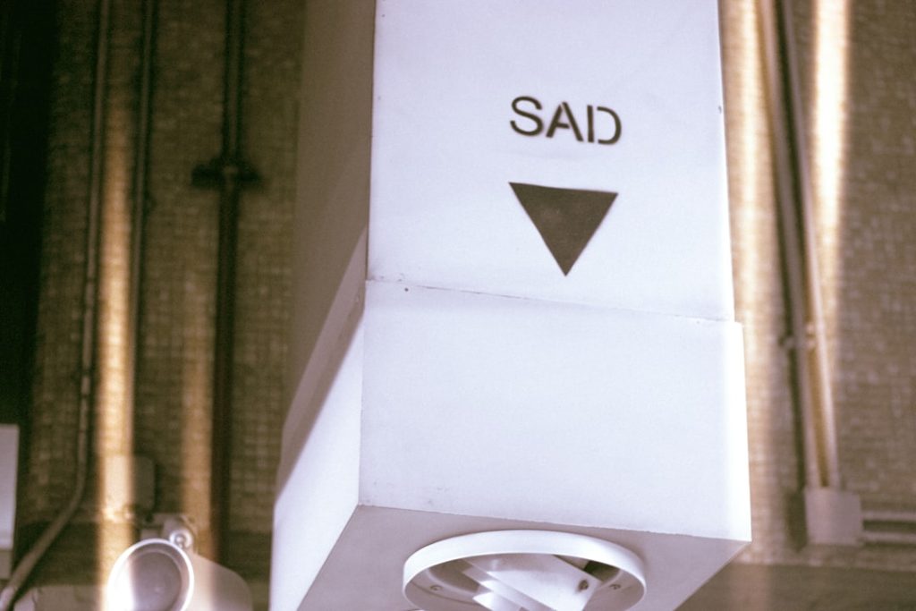 декларация SAD
